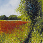 "Poppy path", Mixed Media, 11 x 10 inches - Painting by Rory Browne